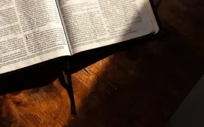 LO QUE DABAS POR PERDIDO, DIOS TE LO ENTREGARA NUEVAMENTE.