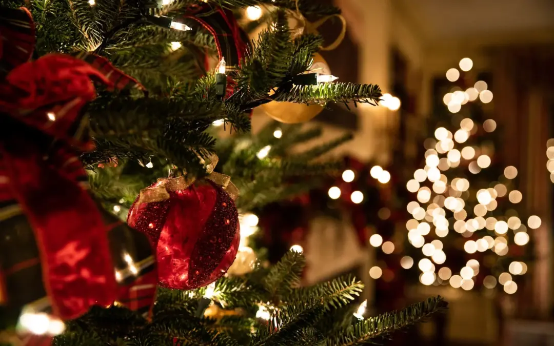 ¿CÓMO DESEAS PASAR TU NAVIDAD?