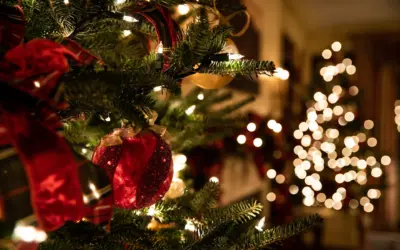 ¿CÓMO DESEAS PASAR TU NAVIDAD?