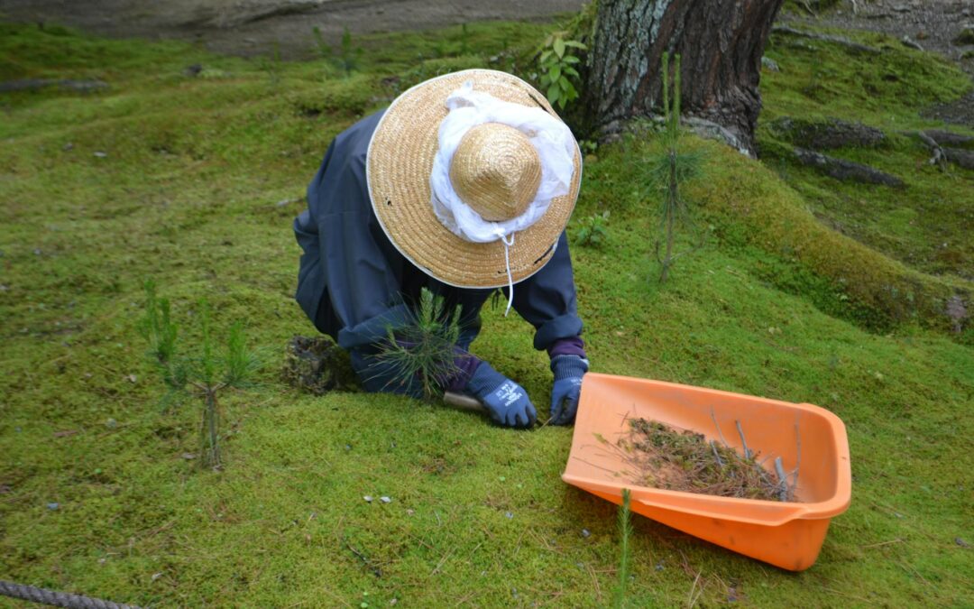 Agradece a Dios por el trabajo