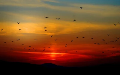 Un nuevo día, una nueva oportunidad