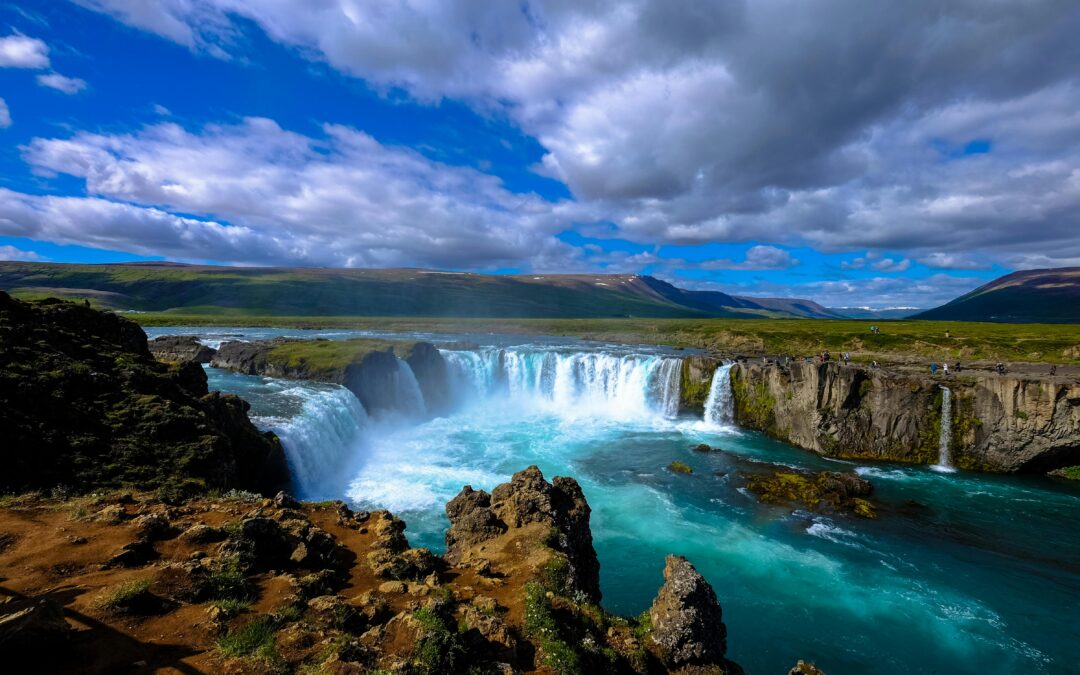 Gratitud en todas las circunstancias