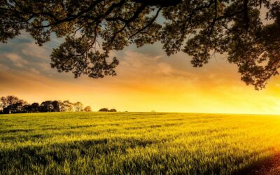 Sembrando buenas actitudes